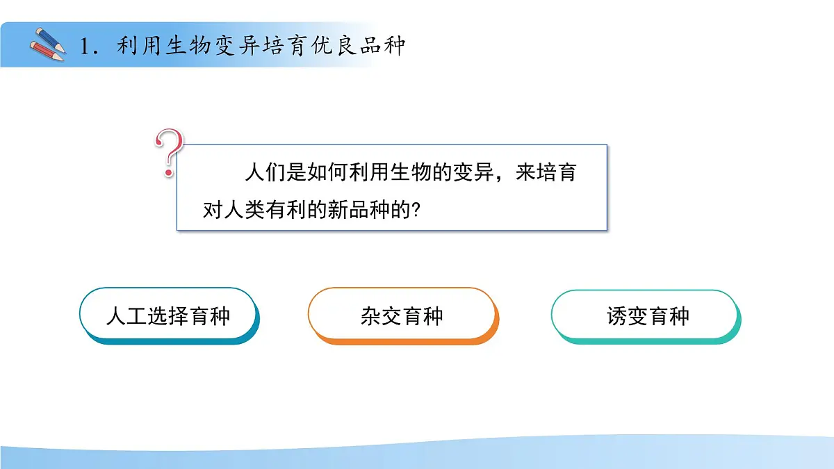4.3.5 生物育种技术促进农业发展 课件 生物济南版（2024）七年级下册第四单元第4页