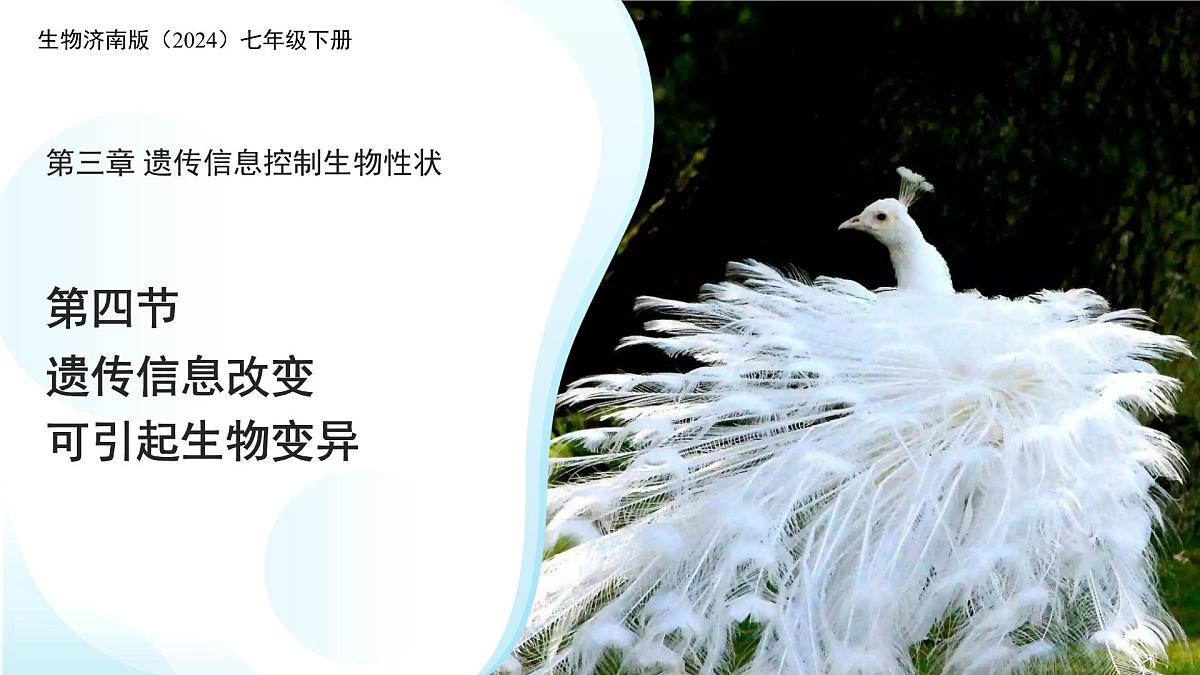 4.3.4 遗传信息改变可引起生物变异 课件 生物济南版（2024）七年级下册第四单元第1页