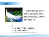 4.3.4 遺傳信息改變可引起生物變異 課件 生物濟(jì)南版（2024）七年級(jí)下冊(cè)第四單元