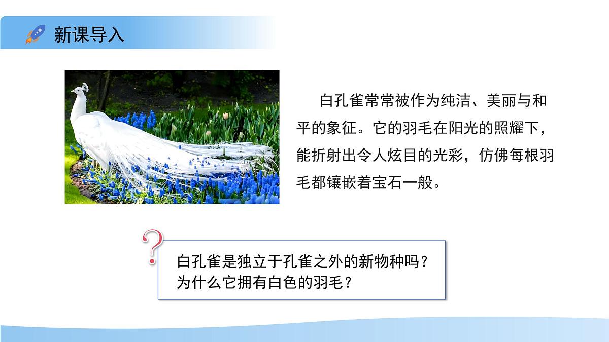 4.3.4 遗传信息改变可引起生物变异 课件 生物济南版（2024）七年级下册第四单元第3页