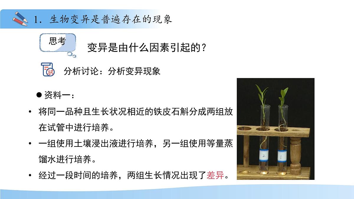 4.3.4 遗传信息改变可引起生物变异 课件 生物济南版（2024）七年级下册第四单元第5页