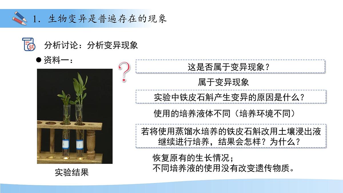4.3.4 遗传信息改变可引起生物变异 课件 生物济南版（2024）七年级下册第四单元第6页