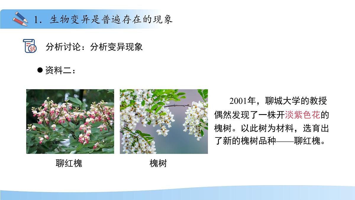 4.3.4 遗传信息改变可引起生物变异 课件 生物济南版（2024）七年级下册第四单元第7页