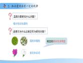 4.3.2 生物的性狀主要由基因決定（第2課時(shí)）課件 生物濟(jì)南版（2024）七年級(jí)下冊(cè)第四單元