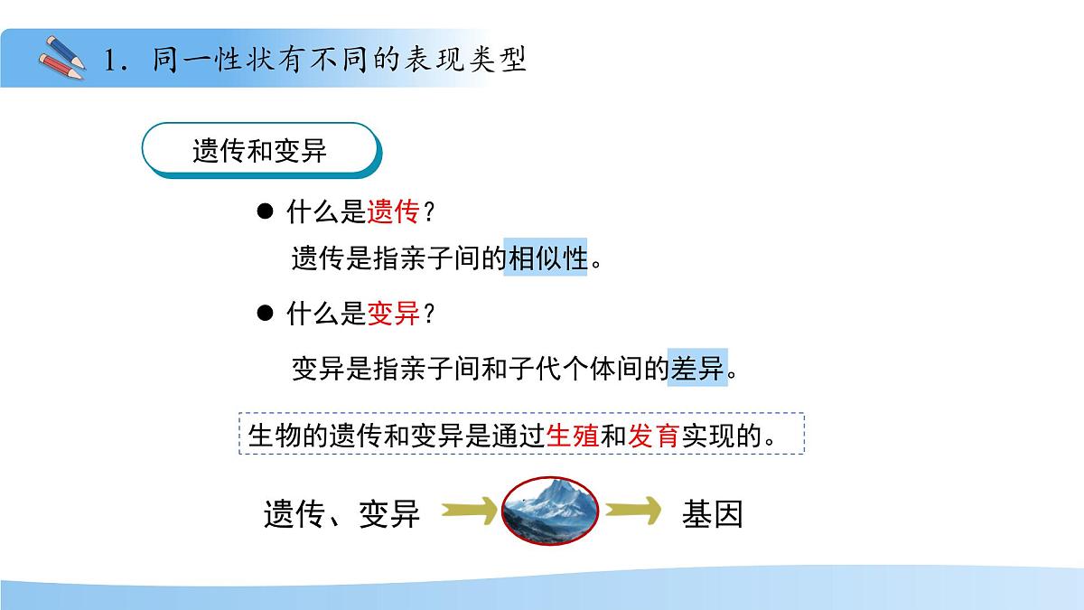 4.3.2 生物的性状主要由基因决定（第1课时）课件 生物济南版（2024）七年级下册第四单元第4页