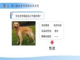 4.3.2 生物的性狀主要由基因決定（第1課時(shí)）課件 生物濟(jì)南版（2024）七年級(jí)下冊(cè)第四單元