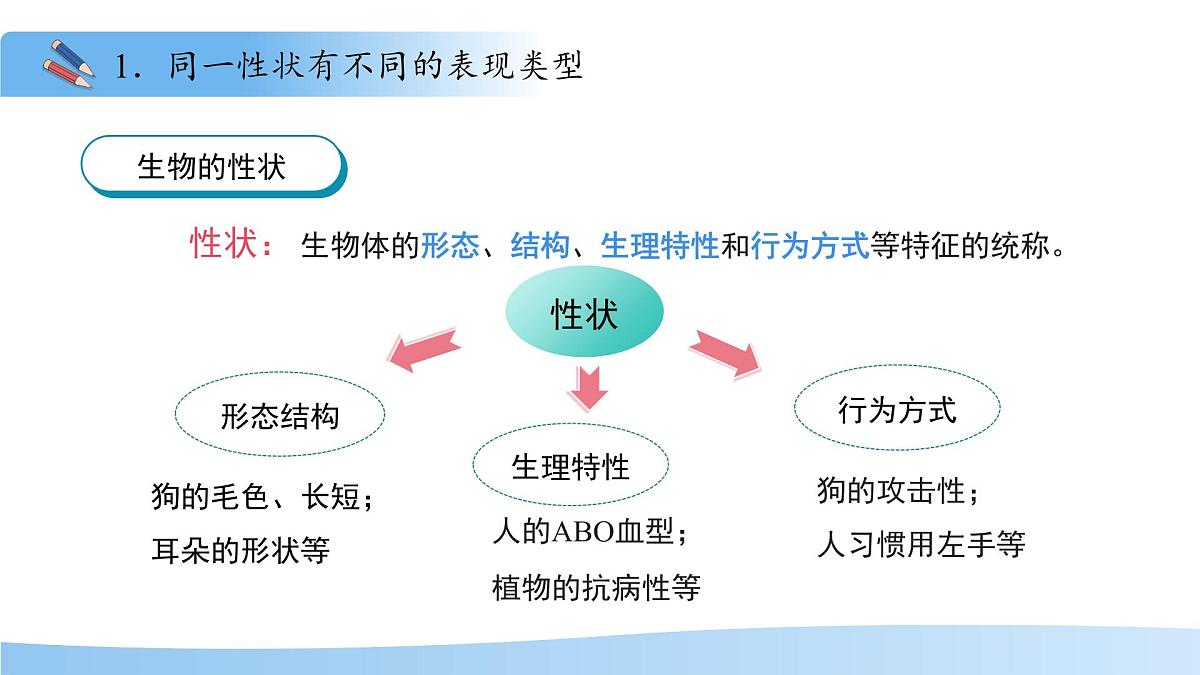 4.3.2 生物的性状主要由基因决定（第1课时）课件 生物济南版（2024）七年级下册第四单元第6页
