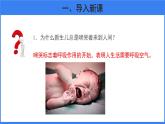 第一節(jié) 呼吸道對(duì)空氣的處理 課件 生物人教版（2024）七年級(jí)下冊(cè)第四單元