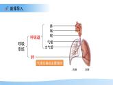 4.3.2 發(fā)生在肺內(nèi)的氣體交換 第1課時(shí)課件 生物人教版（2024）七年級(jí)下冊(cè)第四單元