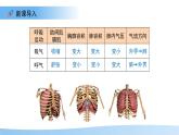 4.3.2 發(fā)生在肺內(nèi)的氣體交換 第2課時(shí)課件 生物人教版（2024）七年級(jí)下冊(cè)第四單元