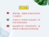 第十四章 人體內(nèi)物質(zhì)的運(yùn)輸 第2節(jié) 血管與心臟 PPT課件