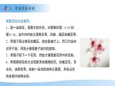 5.11.3 植物的開花和結(jié)果 第1課時課件  生物蘇科版（2024）七年級下冊第五單元