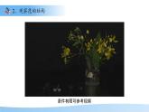 5.11.3 植物的開花和結(jié)果 第1課時課件  生物蘇科版（2024）七年級下冊第五單元