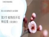5.11.3 植物的開花和結(jié)果 第2課時課件  生物蘇科版（2024）七年級下冊第五單元