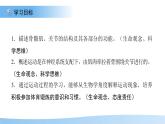 3.5.4 運(yùn)動(dòng)的完成 課件 生物冀少版（2024）七年級(jí)下冊(cè)第三單元
