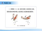 3.5.4 運(yùn)動(dòng)的完成 課件 生物冀少版（2024）七年級(jí)下冊(cè)第三單元