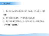3.5.3感覺的形成——視覺 課件 生物冀少版（2024）七年級下冊第三單元