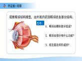 3.5.3感覺的形成——視覺 課件 生物冀少版（2024）七年級下冊第三單元