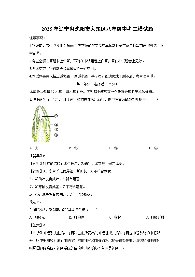 2025年辽宁省沈阳市大东区八年级中考二模生物试卷（解析版）第1页