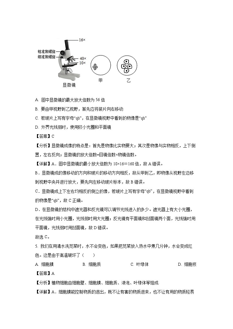 2025年江西省九江市八年级中考模拟预测生物试卷（解析版）第3页