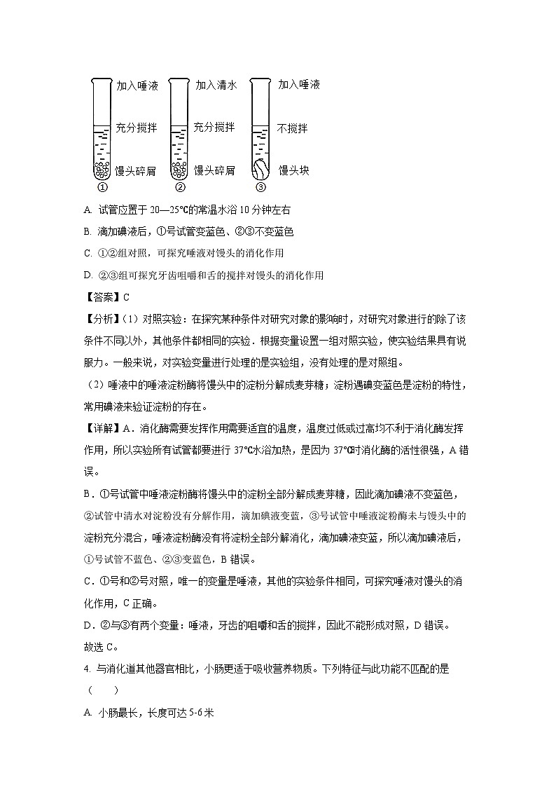 四川省成都市金牛区2024-2025学年七年级下学期期末生物试卷（解析版）第2页