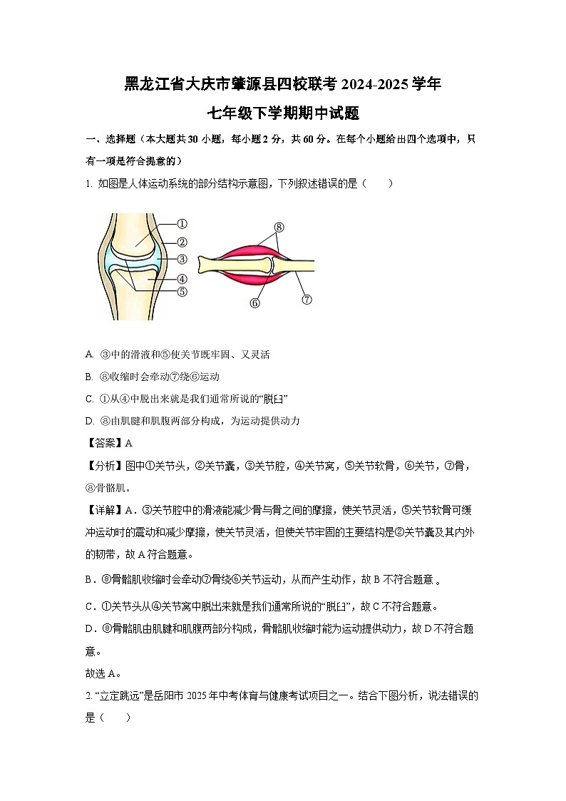黑龙江省大庆市肇源县四校联考2024-2025学年七年级下学期期中生物试卷（解析版）第1页