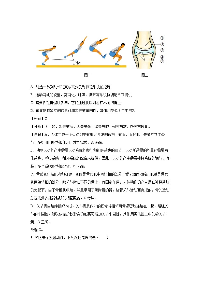 黑龙江省大庆市肇源县四校联考2024-2025学年七年级下学期期中生物试卷（解析版）第2页