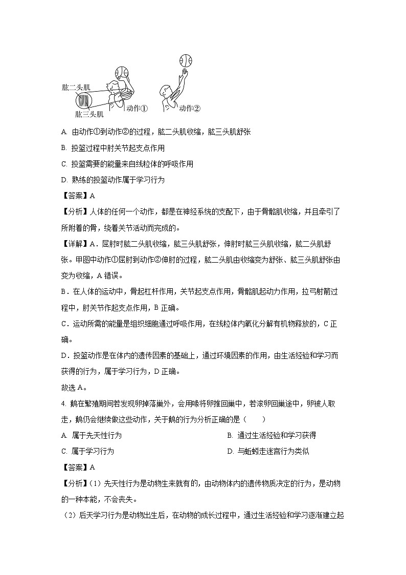 黑龙江省大庆市肇源县四校联考2024-2025学年七年级下学期期中生物试卷（解析版）第3页