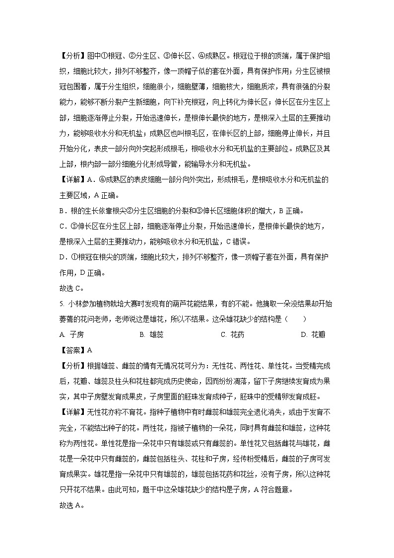 河南省南阳市南召县2024-2025学年七年级下学期期中生物试卷（解析版）第3页
