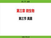 2025秋人教版(2024)生物七年级上册课件 第2单元 第3章 第三节 真菌