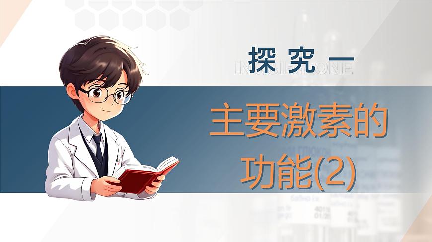 2025年秋人教版(2024)生物八年级上册上课课件 第六章第四节《激素调节》第二课时第5页
