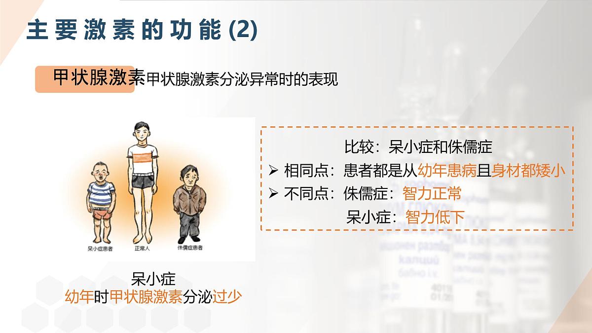 2025年秋人教版(2024)生物八年级上册上课课件 第六章第四节《激素调节》第二课时第7页