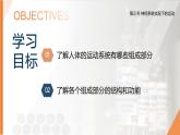 2025年秋人教版(2024)生物八年級上冊上課課件 第六章第三節(jié)《神經(jīng)系統(tǒng)支配下的運動》第一課時