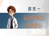 2025年秋人教版(2024)生物八年級上冊上課課件 第六章第三節(jié)《神經(jīng)系統(tǒng)支配下的運動》第一課時