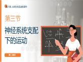 2025年秋人教版(2024)生物八年級上冊上課課件 第六章第三節(jié)《神經(jīng)系統(tǒng)支配下的運動》第二課時