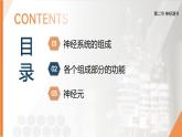 2025年秋人教版(2024)生物八年級上冊上課課件 第六章第二節(jié)《神經(jīng)調節(jié)》第一課時