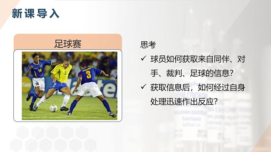 2025年秋人教版(2024)生物八年级上册上课课件 第六章第二节《神经调节》第一课时第4页