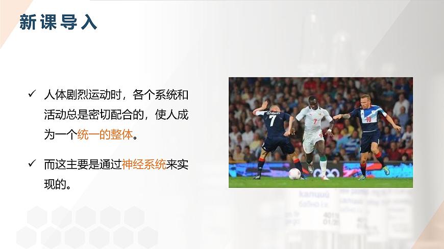 2025年秋人教版(2024)生物八年级上册上课课件 第六章第二节《神经调节》第一课时第5页
