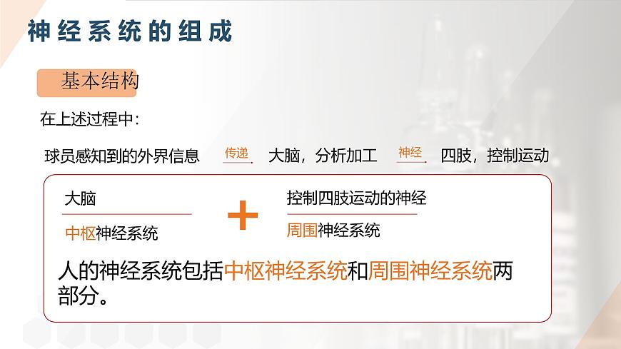 2025年秋人教版(2024)生物八年级上册上课课件 第六章第二节《神经调节》第一课时第7页