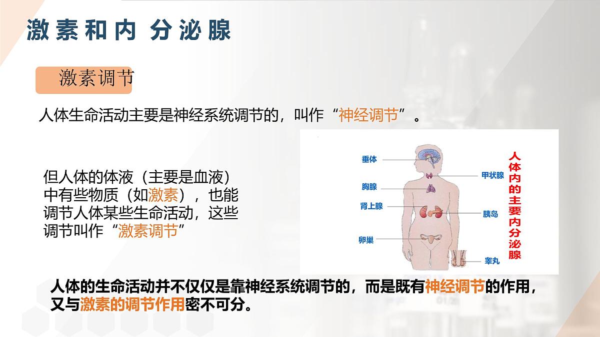 2025年秋人教版(2024)生物八年级上册上课课件 第六章第四节《激素调节》第一课时第6页