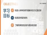2025年秋人教版(2024)生物八年級上冊上課課件 第六章第二節(jié)《神經(jīng)調節(jié)》第二課時