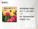 2025年秋人教版(2024)生物八年級上冊上課課件 第六章第二節(jié)《神經(jīng)調節(jié)》第二課時