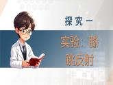 2025年秋人教版(2024)生物八年級上冊上課課件 第六章第二節(jié)《神經(jīng)調節(jié)》第二課時