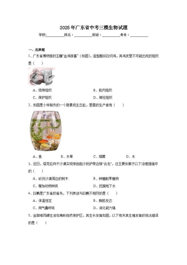 2025年广东省中考三模生物试题（附答案解析）第1页