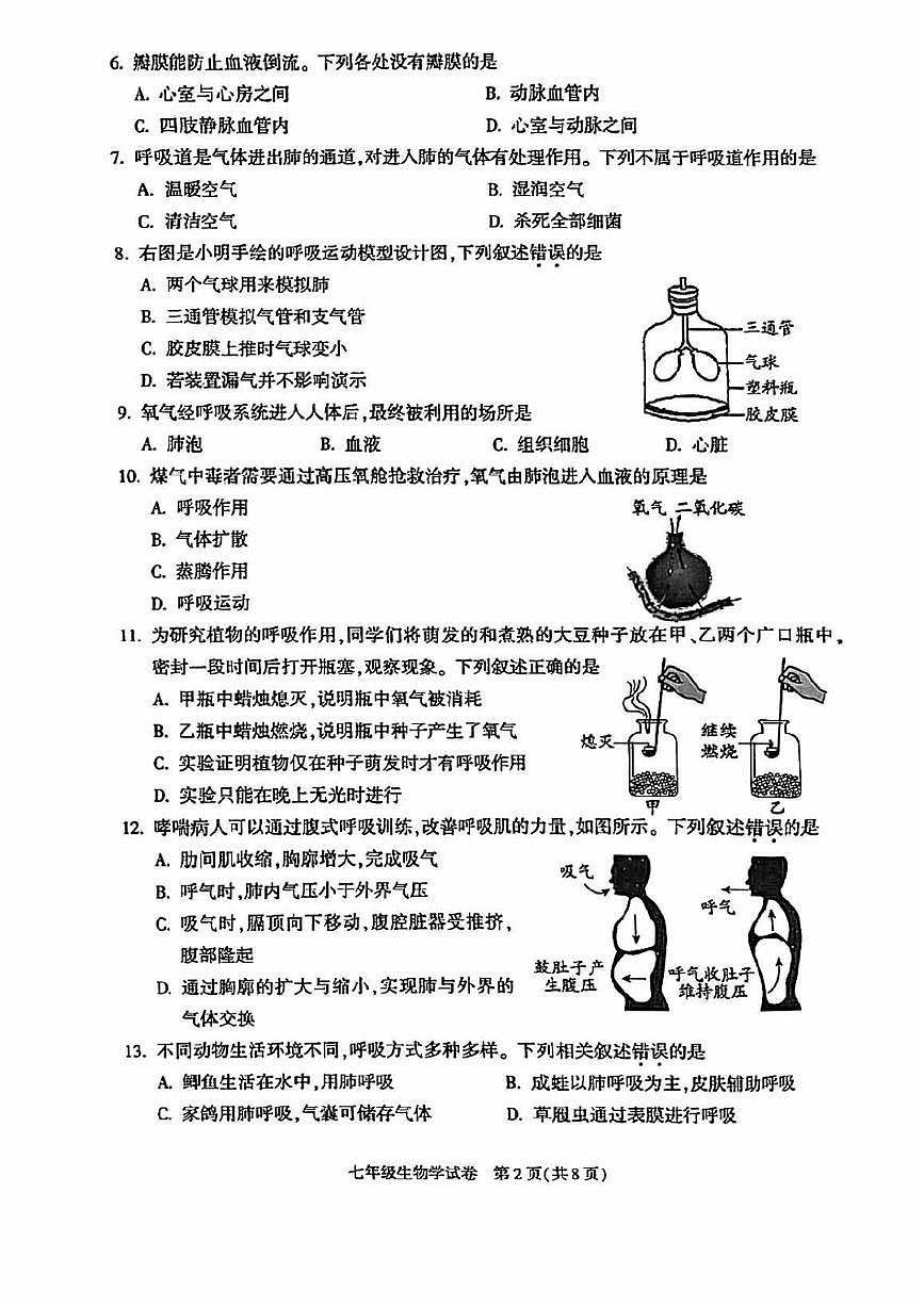 2025北京朝阳初一（下）期末真题生物试卷第2页