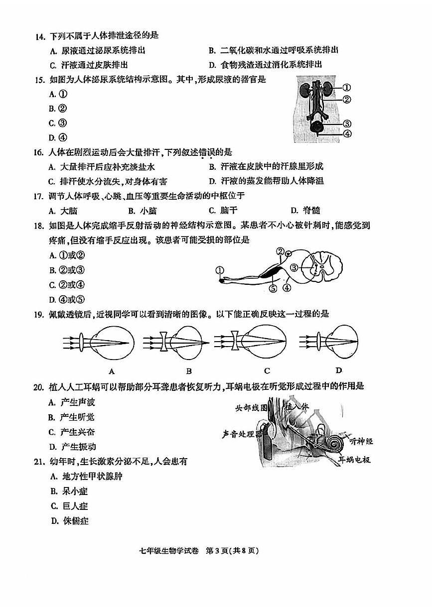 2025北京朝阳初一（下）期末真题生物试卷第3页
