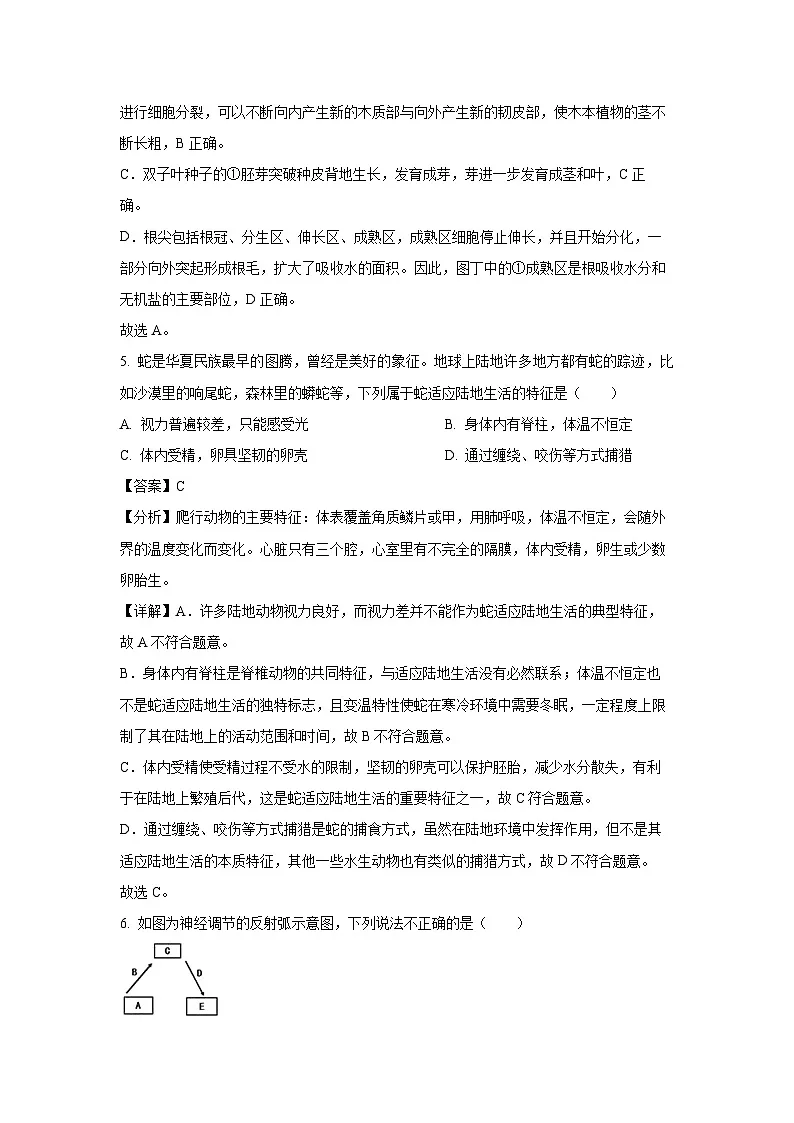 2025年湖北省黄石市铁山区部分学校中考二模生物试卷（解析版）第3页