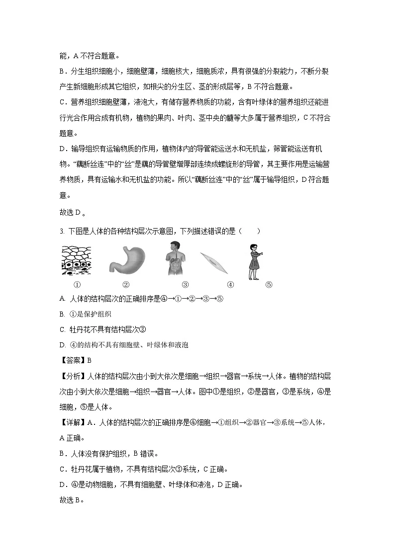 2025年湖北省大冶市城区四校中考一模生物试卷（解析版）第2页