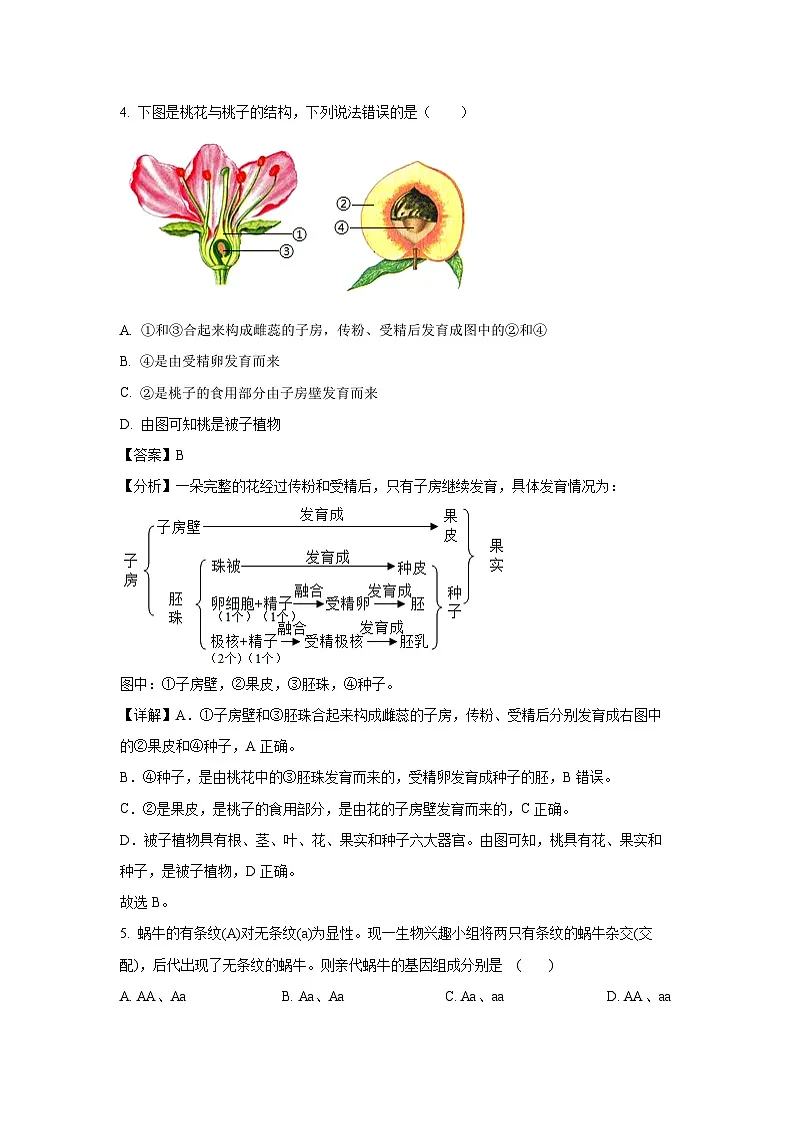 2025年湖北省大冶市城区四校中考一模生物试卷（解析版）第3页