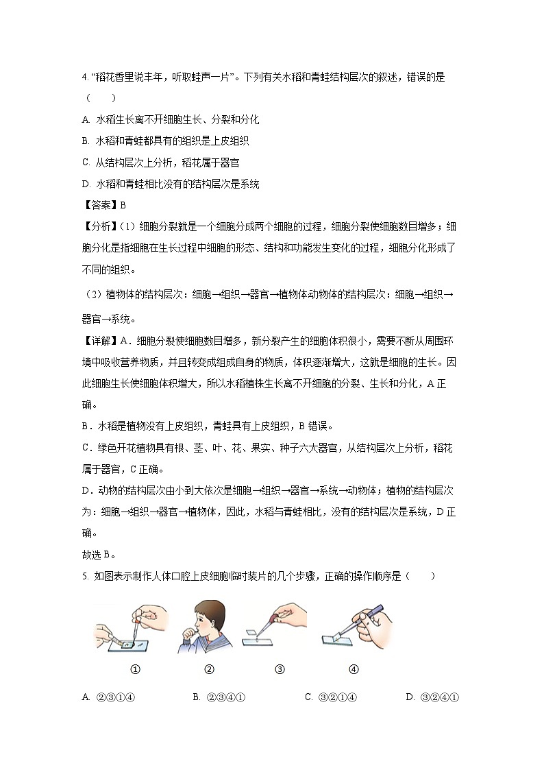 2025年河南省驻马店市驿城区八年级一模生物试卷（解析版）第3页